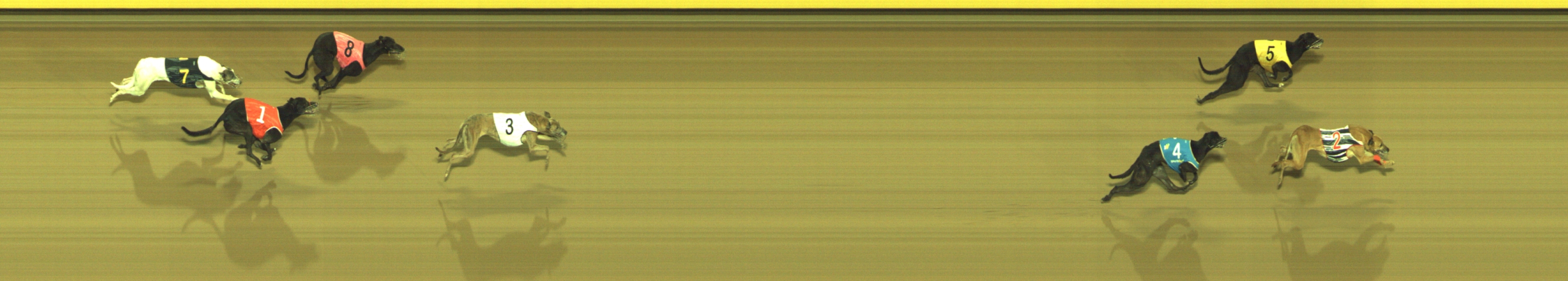 Race result finish photo